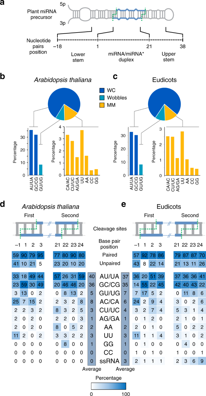 Identification Of Key Sequence Features Required For Microrna Biogenesis In Plants Nature Communications