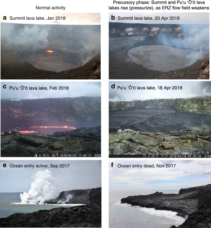 Biotic consequences of a volcanic flank collapse. (a) Flank collapse is