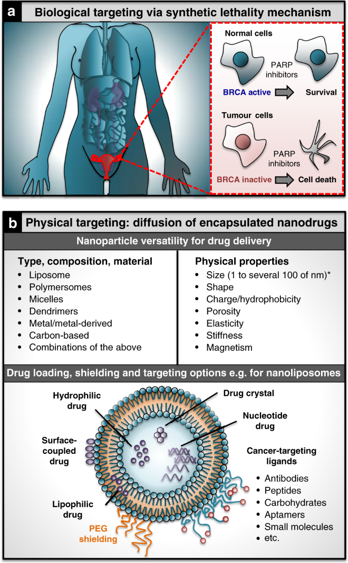 Engineering microrobots for targeted cancer therapies from a medical  perspective | Nature Communications