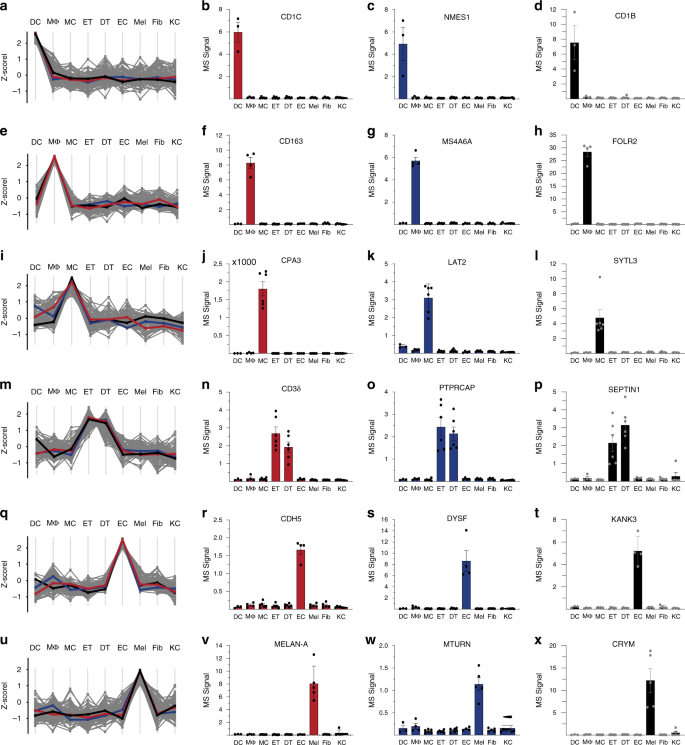 Fig. 6: The proteomes of cellular subsets from the skin reveal subset enriched proteins.