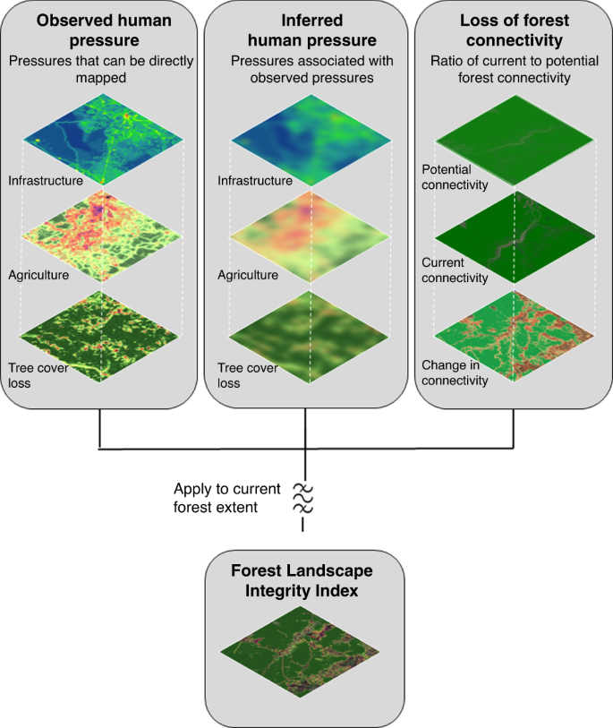 Forests, Free Full-Text