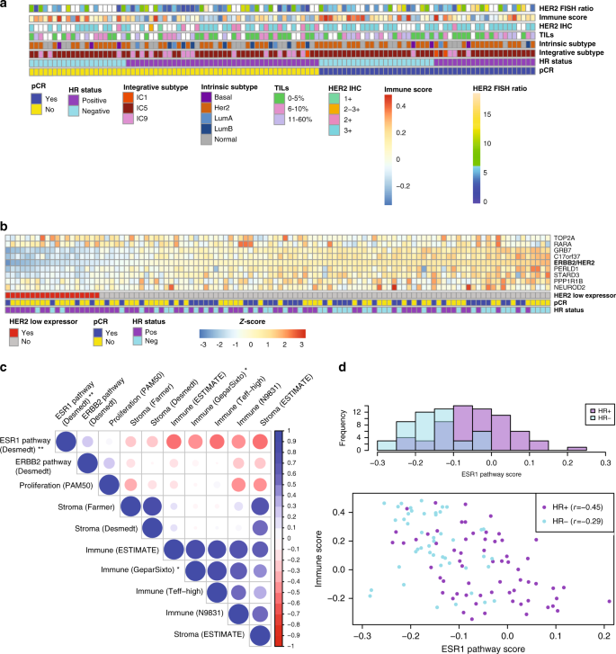 Fig. 2: Characteristics of the cohort prior to treatment.