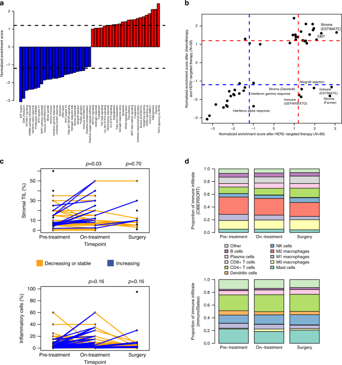 Fig. 4: Microenvironment changes across HER2-targeted therapy and chemotherapy.