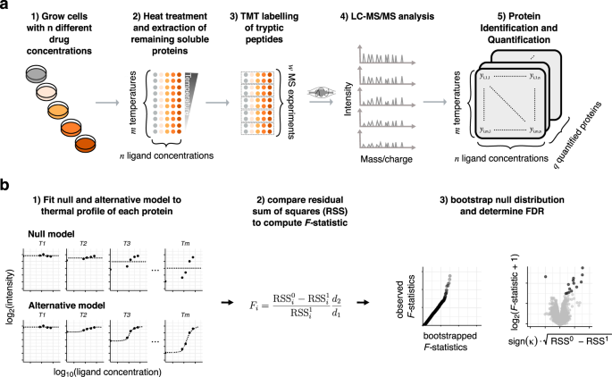 Fig. 1: Illustration of the 2D-TPP experimental setup and our computational analysis approach.