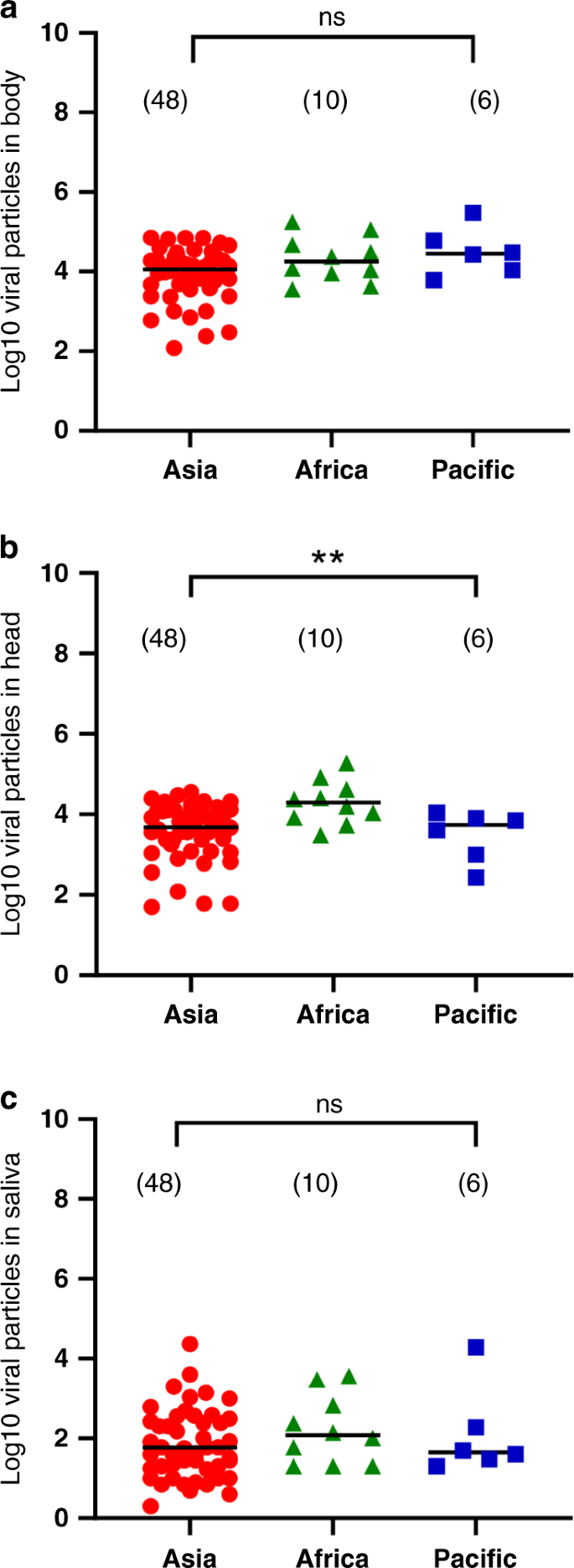 Risk of yellow fever virus transmission in the Asia-Pacific region ...