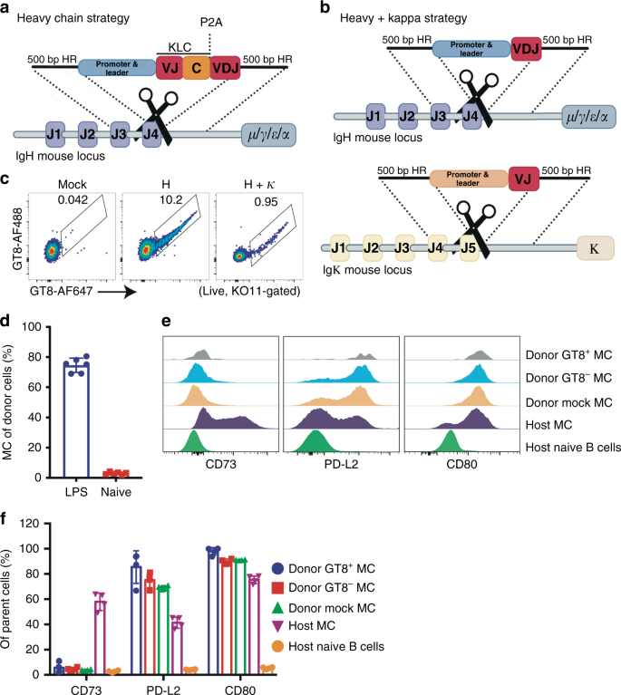 Vaccine Elicitation Of Hiv Broadly Neutralizing Antibodies From Engineered B Cells Nature Communications