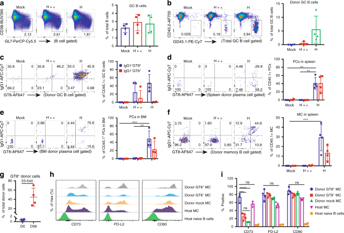 Vaccine Elicitation Of Hiv Broadly Neutralizing Antibodies From Engineered B Cells Nature Communications
