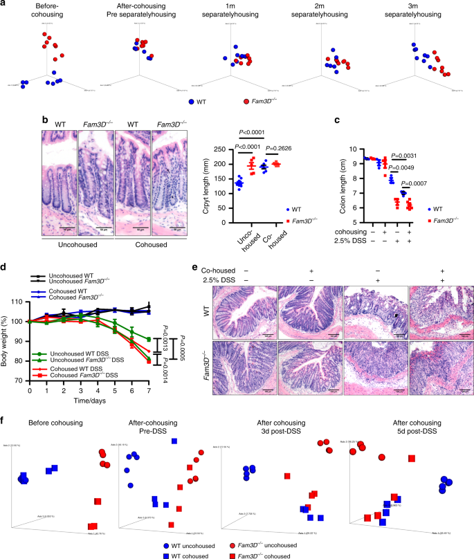 Fig. 7: Transfer of Fam3D−/− mouse phenotype to WT mice.