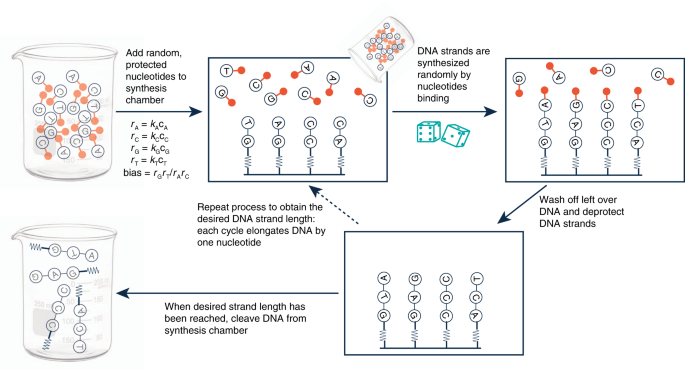 synthesis for true random number generation