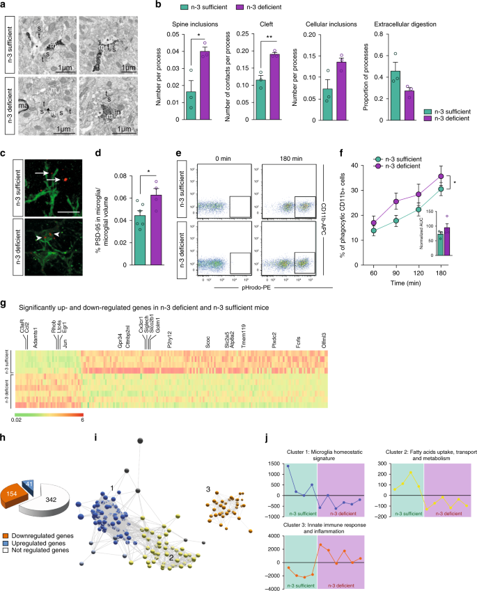 Essential Omega 3 Fatty Acids Tune Microglial Phagocytosis Of Synaptic Elements In The Mouse Developing Brain Nature Communications