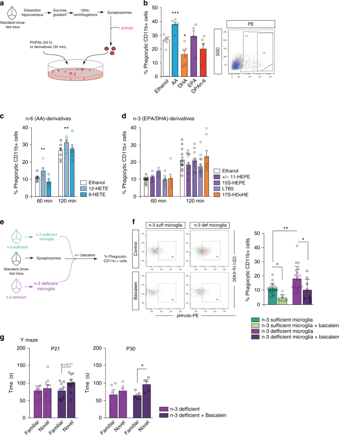 Essential Omega 3 Fatty Acids Tune Microglial Phagocytosis Of Synaptic Elements In The Mouse Developing Brain Nature Communications