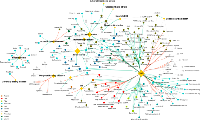 Fig. 1: The Knowledge Graph of the Dietary Factors Associated with Cardiovascular Disease in the NHS Data.