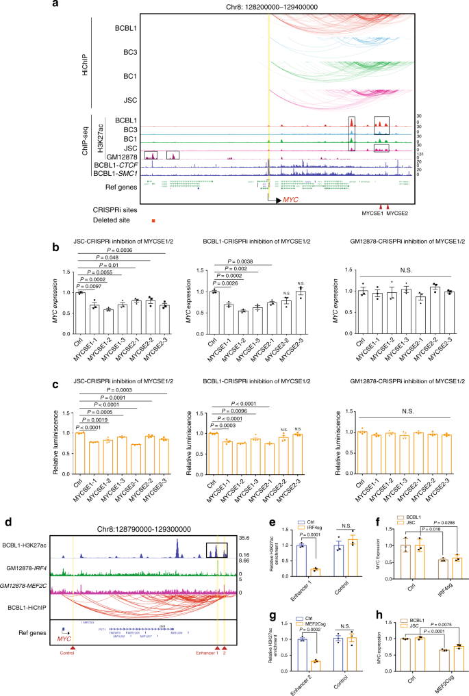 Fig. 2: MYC SEs control MYC expression and are essential for PEL cell growth.