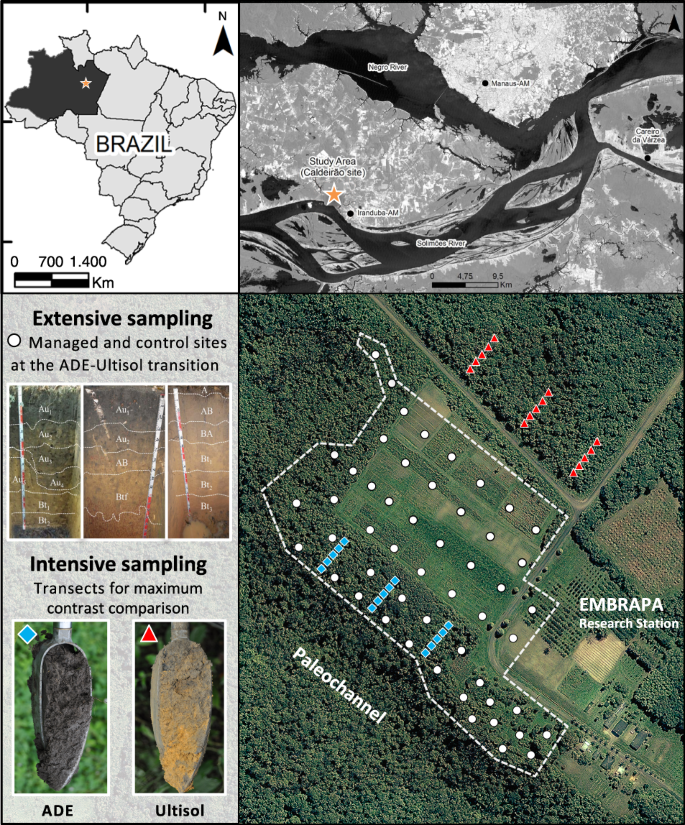 A new hypothesis for the origin of Amazonian Dark Earths | Nature  Communications