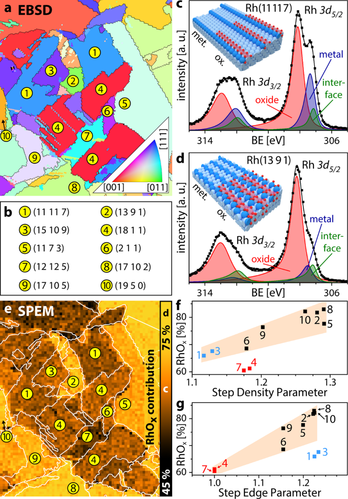 How The Anisotropy Of Surface Oxide Formation Influences The Transient Activity Of A Surface Reaction Nature Communications