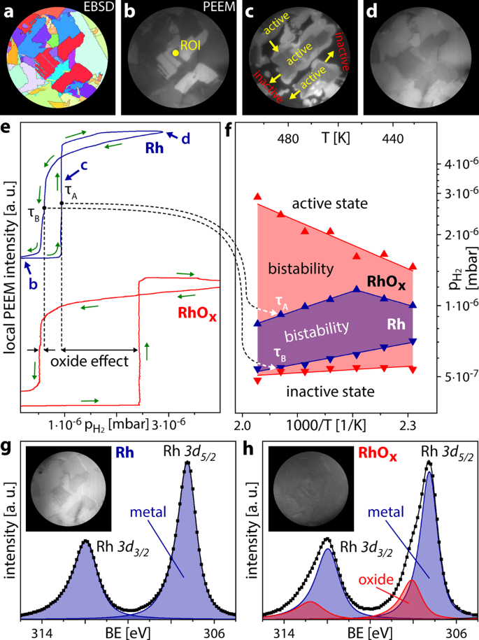 Fig. 3: Imaging catalytic H2 oxidation on metallic and oxidised Rh.
