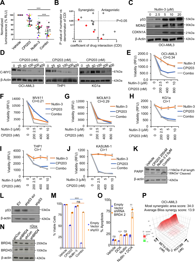 Fig. 1: MDM2 and BET inhibitors combine to enhance killing of primary human AML blasts and AML cell lines with wild-type TP53.