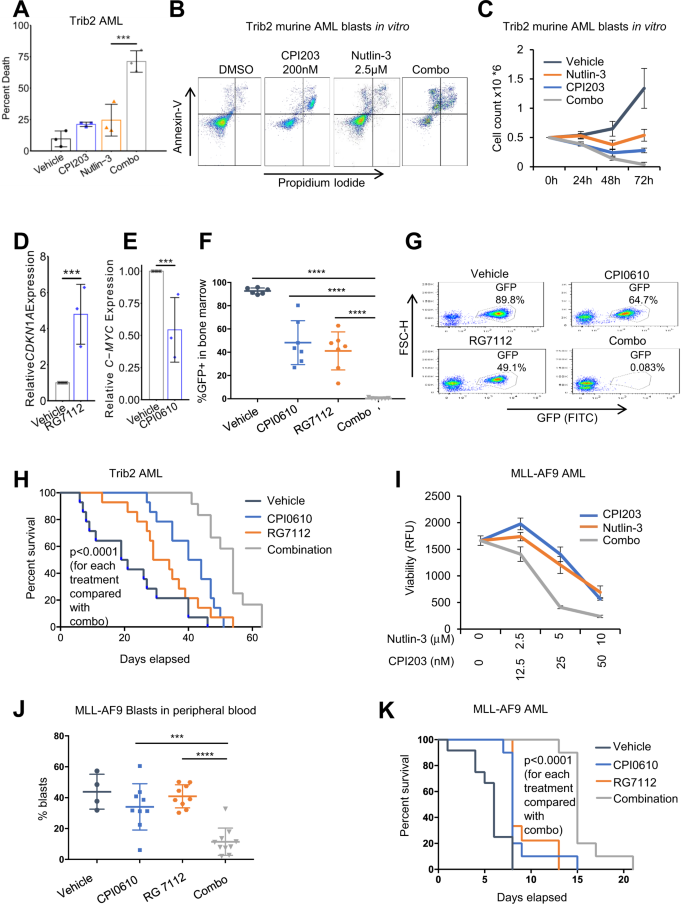 Fig. 2: MDM2 and BET inhibitors cooperate to eradicate AML in in vivo mouse models.