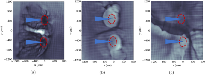 Fig. 3: Proton radiographs from probing at 45° to the target normal.