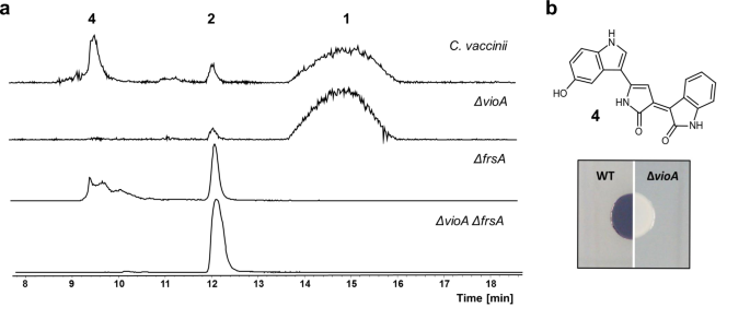 Thioesterase Mediated Side Chain Transesterification Generates Potent Gq Signaling Inhibitor Fr Nature Communications Thioesterase Mediated Side Chain Transesterification Generates Potent Gq Signaling Inhibitor Fr Nature Communications