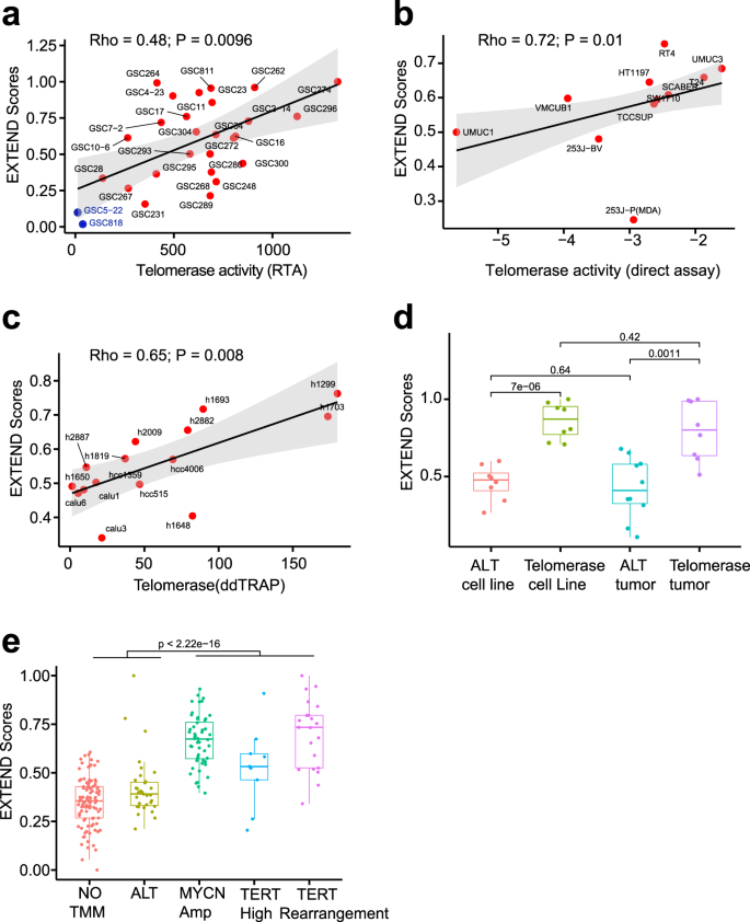 Integrated Analysis Of Telomerase Enzymatic Activity Unravels An Association With Cancer Stemness And Proliferation Nature Communications