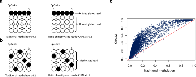 Fig. 1: CHALM quantifies cell heterogeneity–adjusted DNA methylation level.
