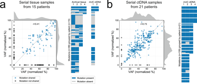 Fig. 3: Temporal heterogeneity in tumor tissue and circulating tumor DNA (ctDNA).