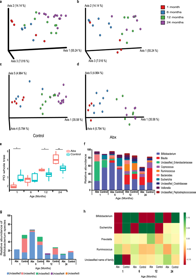 Fig. 3: Alterations in gut bacterial colonization in infants following antibiotic exposure.