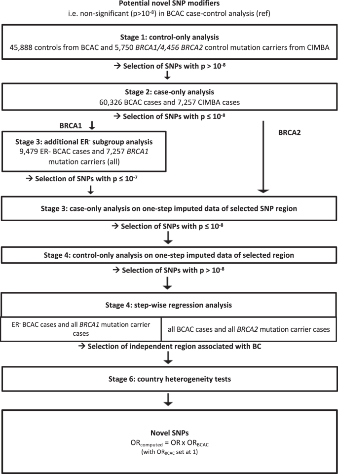A Case Only Study To Identify Genetic Modifiers Of Breast Cancer Risk For Brca1 Brca2 Mutation Carriers Nature Communications