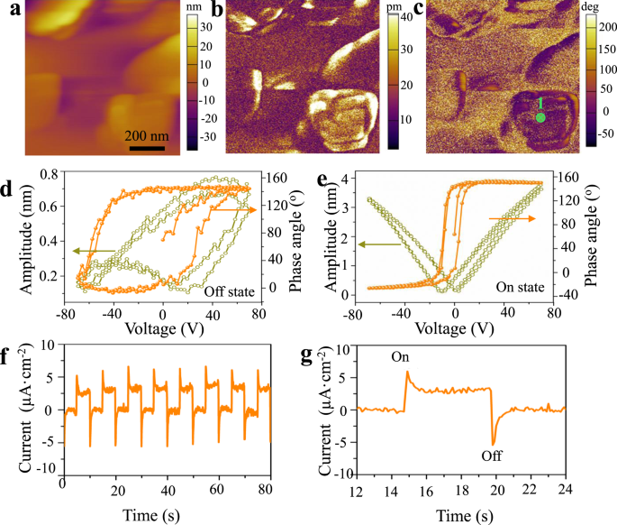 Fig. 2: Ferro-/pyroelectric properties of Bi2WO6.