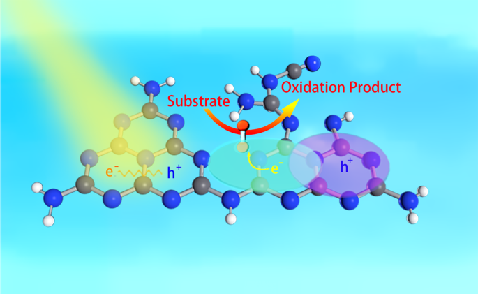 Fig. 4: Roles of each molecular constituent in carbon nitrides.