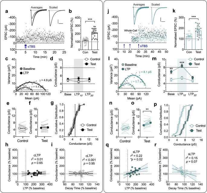 Pka Drives An Increase In Ampa Receptor Unitary Conductance During Ltp In The Hippocampus Nature Communications
