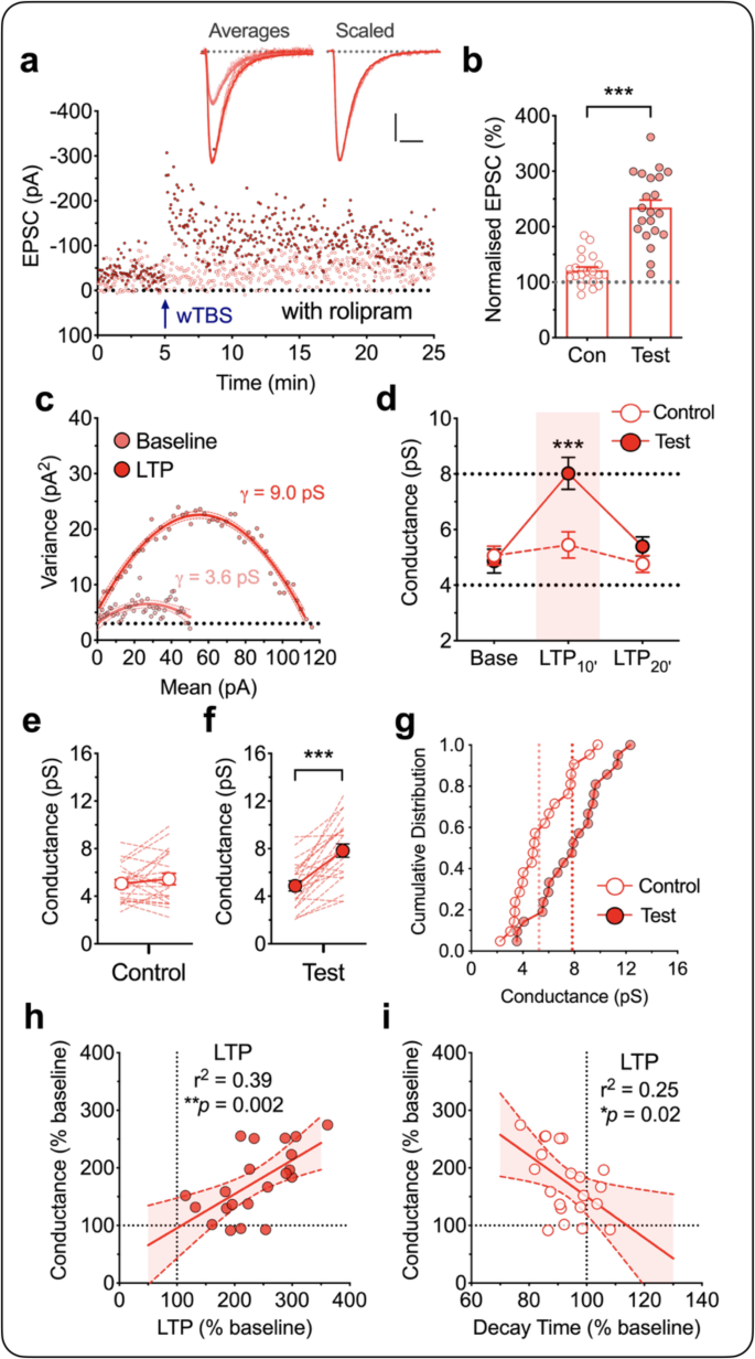 Pka Drives An Increase In Ampa Receptor Unitary Conductance During Ltp In The Hippocampus Nature Communications