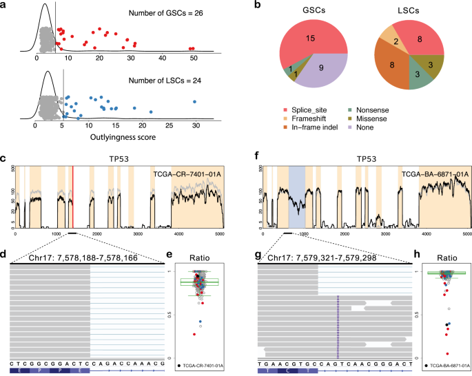 Fig. 2: SCISSOR results at the gene TP53.