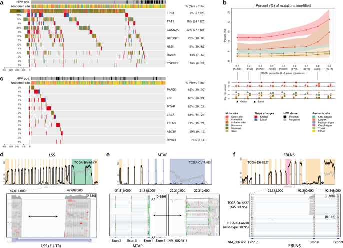 Fig. 3: Genome-wide analysis of SCISSOR.