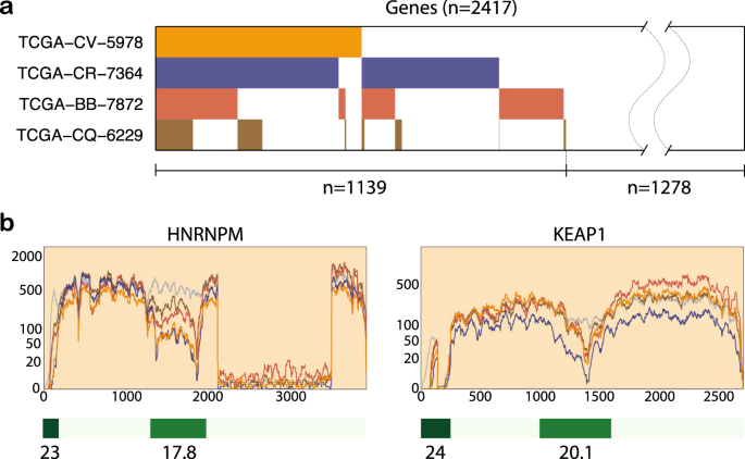 Fig. 4: Concordant shape changes and CpG islands.
