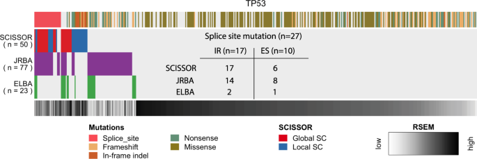 Fig. 5: Comparison of SCISSOR, JRBA, and ELBA at TP53.
