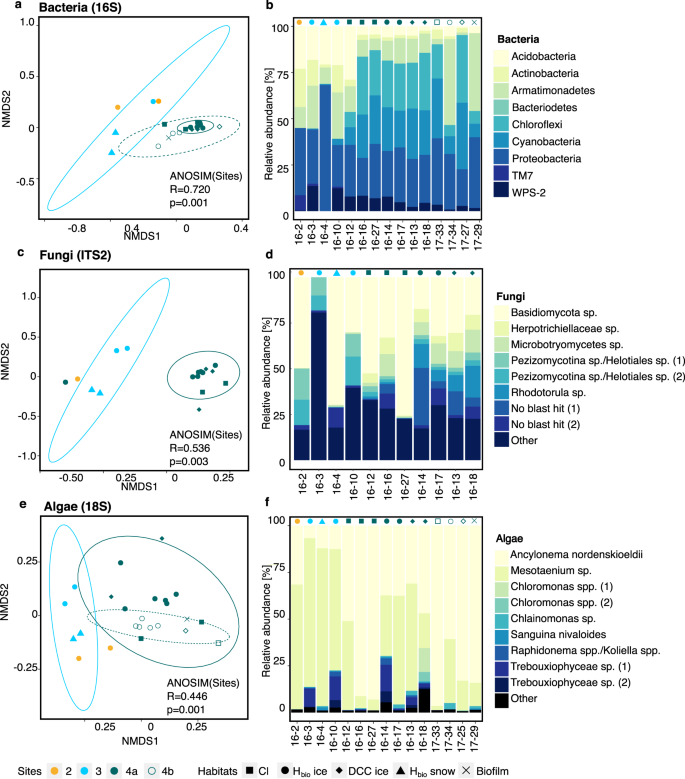 Mineral Phosphorus Drives Glacier Algal Blooms On The Greenland Ice Sheet Nature Communications