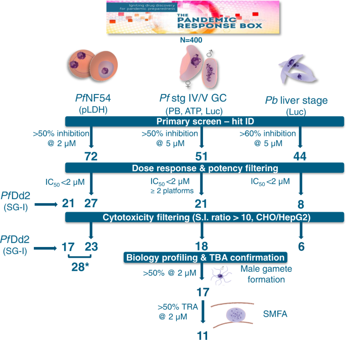 Fig. 1: Screening cascade of the MMV Pandemic Response Box for activity against multiple life cycle stages of Plasmodium.