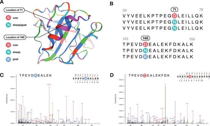 Fig. 3: Milk β-lactoglobulin proteins identified from ancient dental calculus of individuals from Sudan and Kenya.