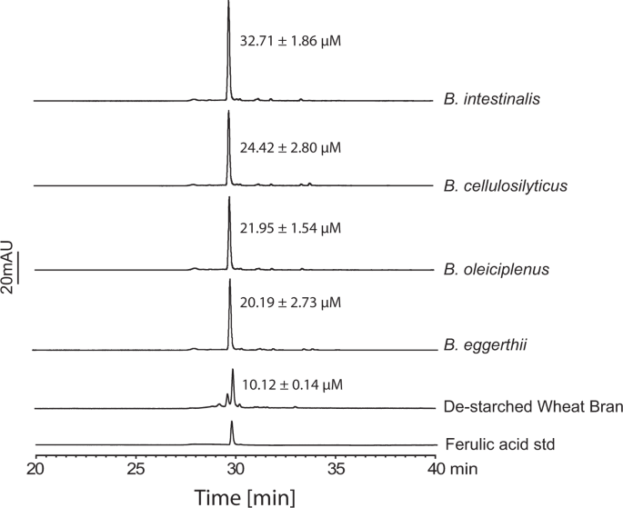 Degradation Of Complex Arabinoxylans By Human Colonic Bacteroidetes Nature Communications