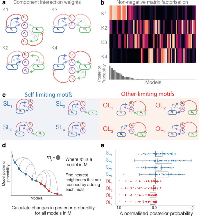 Automated Design Of Synthetic Microbial Communities Nature Communications