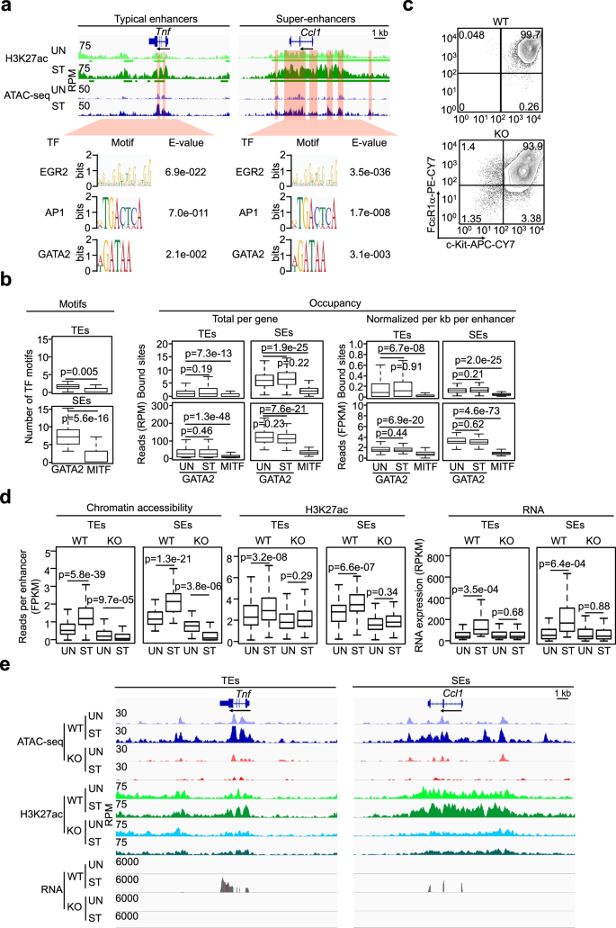 Gata2 Regulates Mast Cell Identity And Responsiveness To Antigenic Stimulation By Promoting Chromatin Remodeling At Super Enhancers Nature Communications