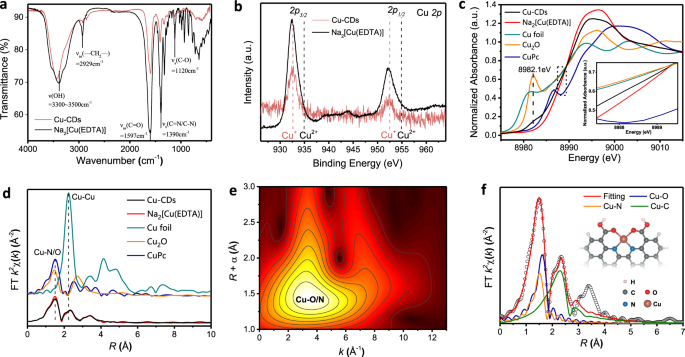 Insights On Forming N O Coordinated Cu Single Atom Catalysts For Electrochemical Reduction Co 2 To Methane Nature Communications