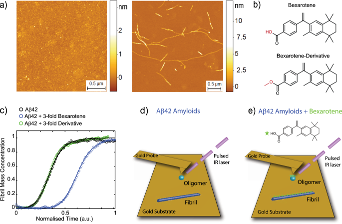 MikroMasch® AFM Probes in a recent study - news