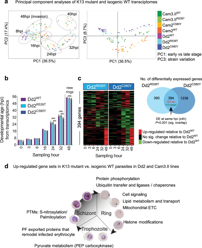 Joker123 สล็อตเว็บตรง แตกง่าย 100% Joker123Th โจ๊กเกอร์123 