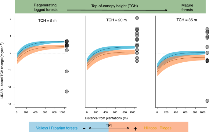 Recovery of logged forest fragments in a human-modified tropical 