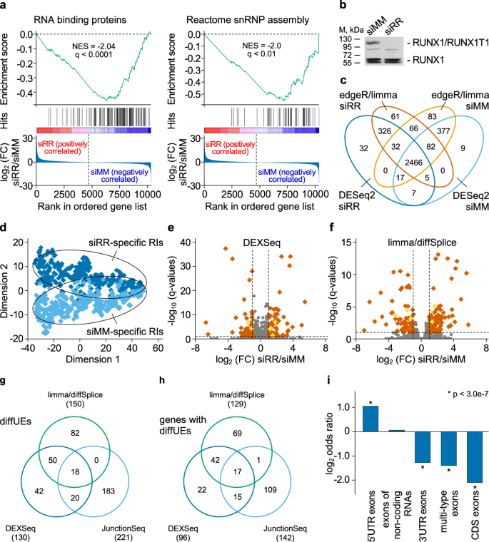 Runx1 Runx1t1 Mediates Alternative Splicing And Reorganises The Transcriptional Landscape In Leukemia Nature Communications Runx1 Runx1t1 Mediates Alternative Splicing And Reorganises The Transcriptional Landscape In Leukemia Nature Communications