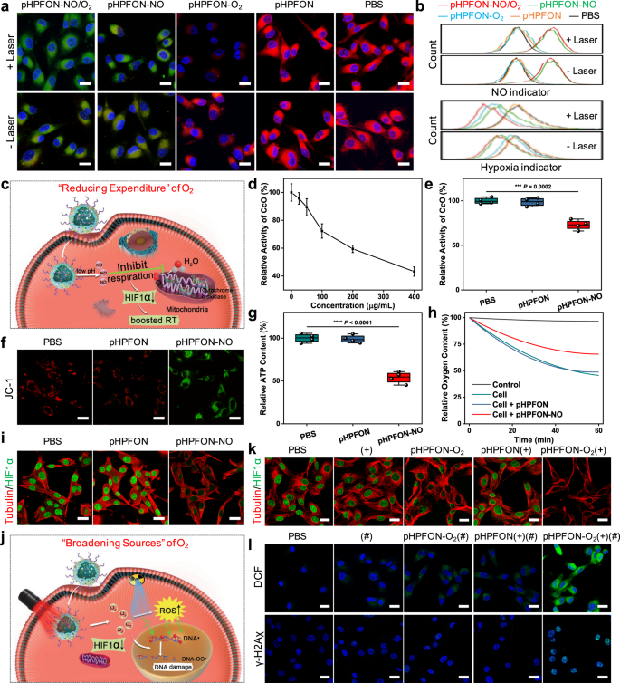 A Hybrid Semiconducting Organosilica Based O 2 Nanoeconomizer For On Demand Synergistic Photothermally Boosted Radiotherapy Nature Communications