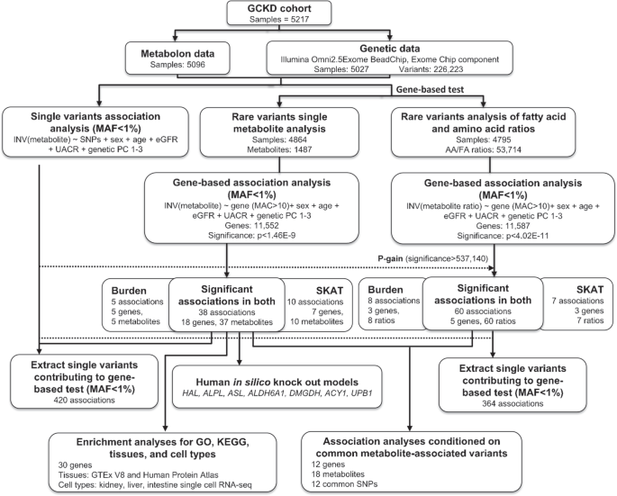 Fig. 1: Rare variant analysis workflow.